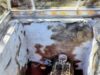 Abrirán al público altar de cráneos esculpidos en Cholula