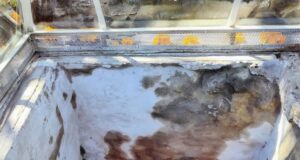 Abrirán al público altar de cráneos esculpidos en Cholula