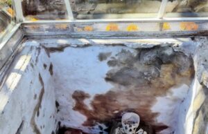 Abrirán al público altar de cráneos esculpidos en Cholula